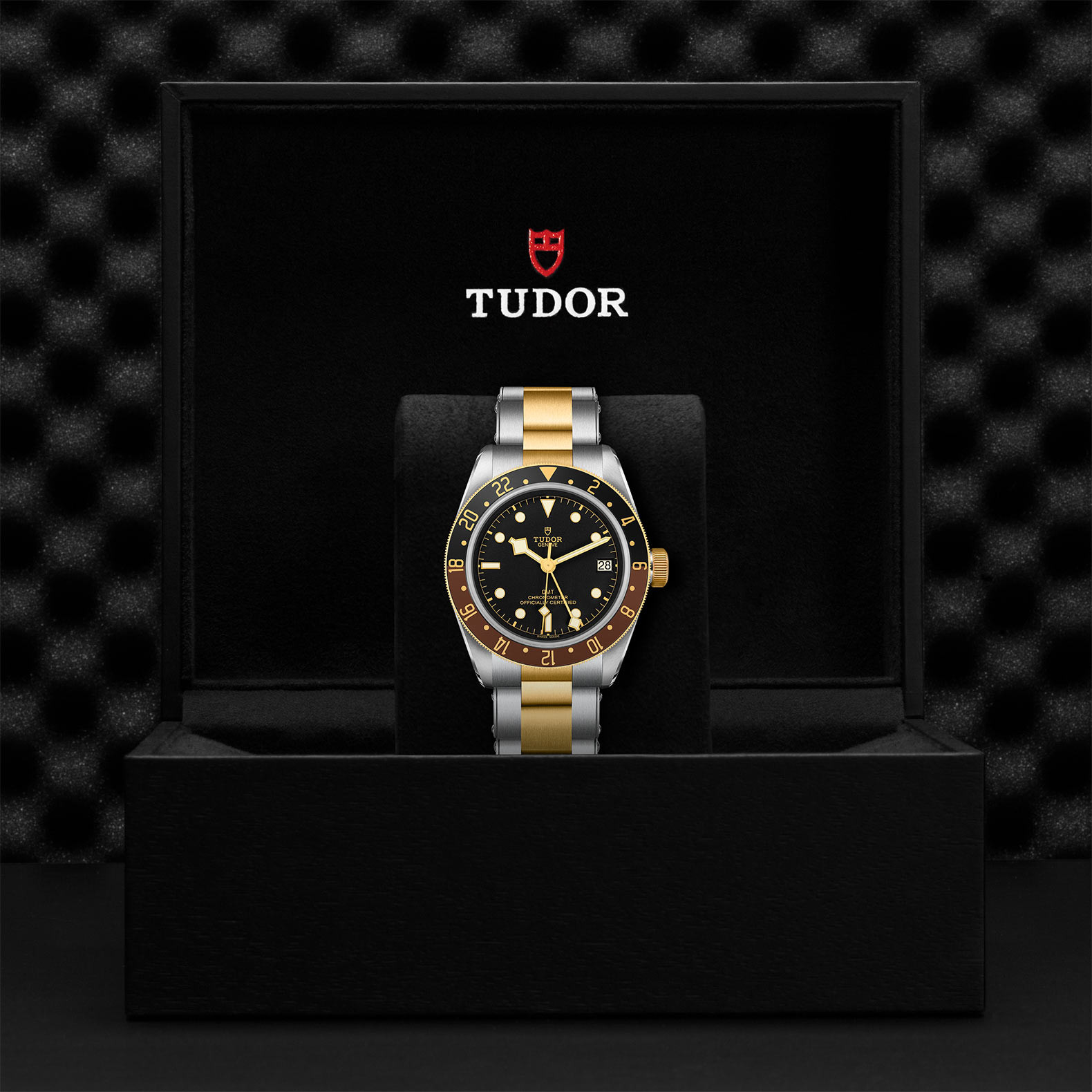 TUDOR Black Bay GMT S&G with Steel Case and Steel And Yellow Gold Bracelet - 41mm M79833MN-0001 Watch in Presentation Box