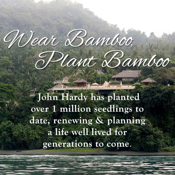 Wear Bamboo, Plant Bamboo