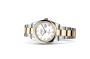 Rolex Datejust 36 M126203-0030 Datejust 36 M126203-0030 Watch in Store Laying Down