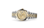 Rolex Datejust 36 M126203-0043 Datejust 36 M126203-0043 Watch in Store Laying Down