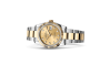 Rolex Datejust 36 M126233-0018 Datejust 36 M126233-0018 Watch in Store Laying Down
