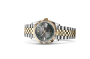 Rolex Datejust 36 M126233-0035 Datejust 36 M126233-0035 Watch in Store Laying Down