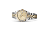Rolex Datejust 36 M126233-0039 Datejust 36 M126233-0039 Watch in Store Laying Down