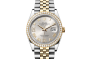 Rolex Datejust 36 M126283RBR-0017 Datejust 36 M126283RBR-0017 Watch Front Facing