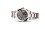 Rolex Datejust 41 M126301-0019 Datejust 41 M126301-0019 Watch in Store Laying Down