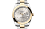 Rolex Datejust 41 M126303-0001 Datejust 41 M126303-0001 Watch Front Facing