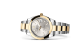 Rolex Datejust 41 M126303-0001 Datejust 41 M126303-0001 Watch in Store Laying Down