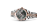 Rolex Datejust 41 M126331-0016 Datejust 41 M126331-0016 Watch in Store Laying Down