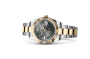 Rolex Datejust 41 M126333-0019 Datejust 41 M126333-0019 Watch in Store Laying Down