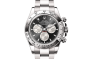 Rolex Cosmograph Daytona M126509-0001 Cosmograph Daytona M126509-0001 Watch Front Facing