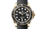 Rolex Yacht-Master 42 M226658-0001 Yacht-Master 42 M226658-0001 Watch Front Facing
