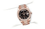 Rolex Day-Date 40 M228345RBR-0016 Day-Date 40 M228345RBR-0016 Watch on Wrist