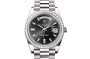Rolex Day-Date 40 M228349RBR-0003 Day-Date 40 M228349RBR-0003 Watch Front Facing
