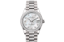 Rolex Datejust 31 M278289RBR-0005 Datejust 31 M278289RBR-0005 Watch Front Facing