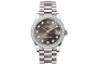 Rolex Datejust 31 M278289RBR-0006 Datejust 31 M278289RBR-0006 Watch Front Facing