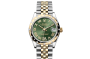 Rolex Datejust 31 M278343RBR-0016 Datejust 31 M278343RBR-0016 Watch Front Facing