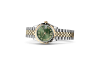 Rolex Datejust 31 M278343RBR-0016 Datejust 31 M278343RBR-0016 Watch in Store Laying Down