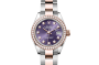 Rolex Lady-Datejust M279381RBR-0016 Lady-Datejust M279381RBR-0016 Watch Front Facing