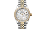 Rolex Lady-Datejust M279383RBR-0019 Lady-Datejust M279383RBR-0019 Watch Front Facing