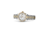 Rolex Lady-Datejust M279383RBR-0019 Lady-Datejust M279383RBR-0019 Watch in Store Laying Down