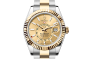 Rolex Sky-Dweller M336933-0001 Sky-Dweller M336933-0001 Watch Front Facing