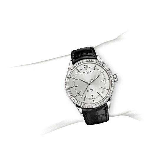 Rolex Cellini Time M50709RBR-0010 on Wrist