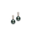Mikimoto Morning Dew Black South Sea Pearl Rose Gold Earrings