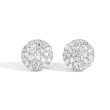 9 Carat Rose Cut Diamond Round Earrings