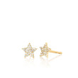 EF Collection Mini Diamond Star Stud Earrings