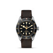 TUDOR Black Bay Fifty-Eight with Steel Case and Brown Leather Strap - 39mm M79030N-0002 Watch Upright