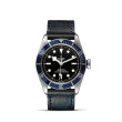 TUDOR Black Bay with Steel Case and Aged Leather Strap - 41mm M79230B-0007 Watch Upright