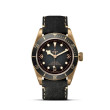 TUDOR Black Bay Bronze with Bronze Case and Black Leather Strap - 43mm M79250BA-0001 Watch Upright