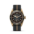 TUDOR Black Bay Bronze with Bronze Case and Fabric Strap - 43mm M79250BA-0002 Watch Upright