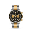 TUDOR Black Bay Heritage Chrono S&G with Steel Case and Steel And Gold Bracelet - 41mm M79363N-0001 Watch Upright