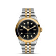 TUDOR Black Bay 39 S&G with Steel Case and Steel And Yellow Gold Bracelet - 39mm M79663-0001 Watch Upright