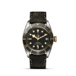TUDOR Black Bay S&G with Steel Case and Aged Leather Strap - 41mm M79733N-0007 Watch Upright