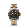 TUDOR Black Bay S&G with Steel Case and Steel And Gold Bracelet - 41mm M79733N-0008 Watch Upright
