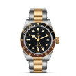 TUDOR Black Bay GMT S&G with Steel Case and Steel And Yellow Gold Bracelet - 41mm M79833MN-0001 Watch Upright