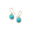 Ippolita Lollipop Mini Turquoise Dangle Earrings