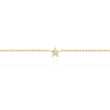Diamond Star Anklet by EF Collection 