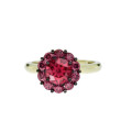 Color My Life Ruby Ring in Yellow Gold
