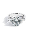 Robert Pelliccia 5 Carat Round Diamond and Baguette Engagement Ring