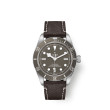TUDOR Black Bay Fifty-Eight 925 with Taupe Dial and Leather Strap - 39mm M79010SG-0001 Watch Upfront
