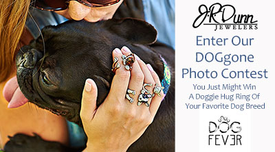 Enter to Win the DOGgone Photo Contest