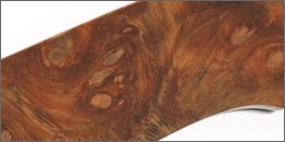 Knife Scale made from Amboyna Burl
