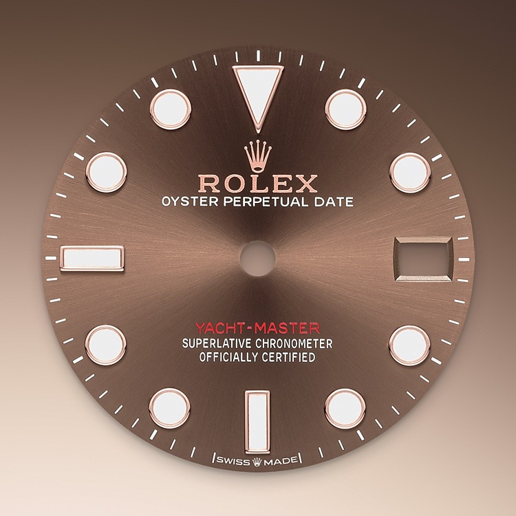 Rolex Yacht-Master 37 Feature: Chocolate Dial